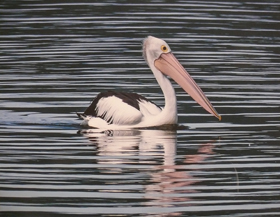 Reflective Pelican by Len Martin